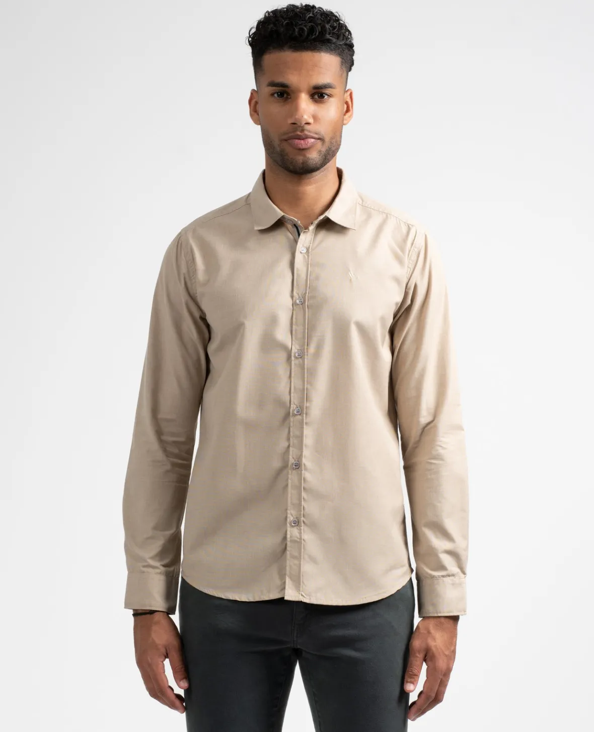 Sun Valley Asasha Sable Doré New