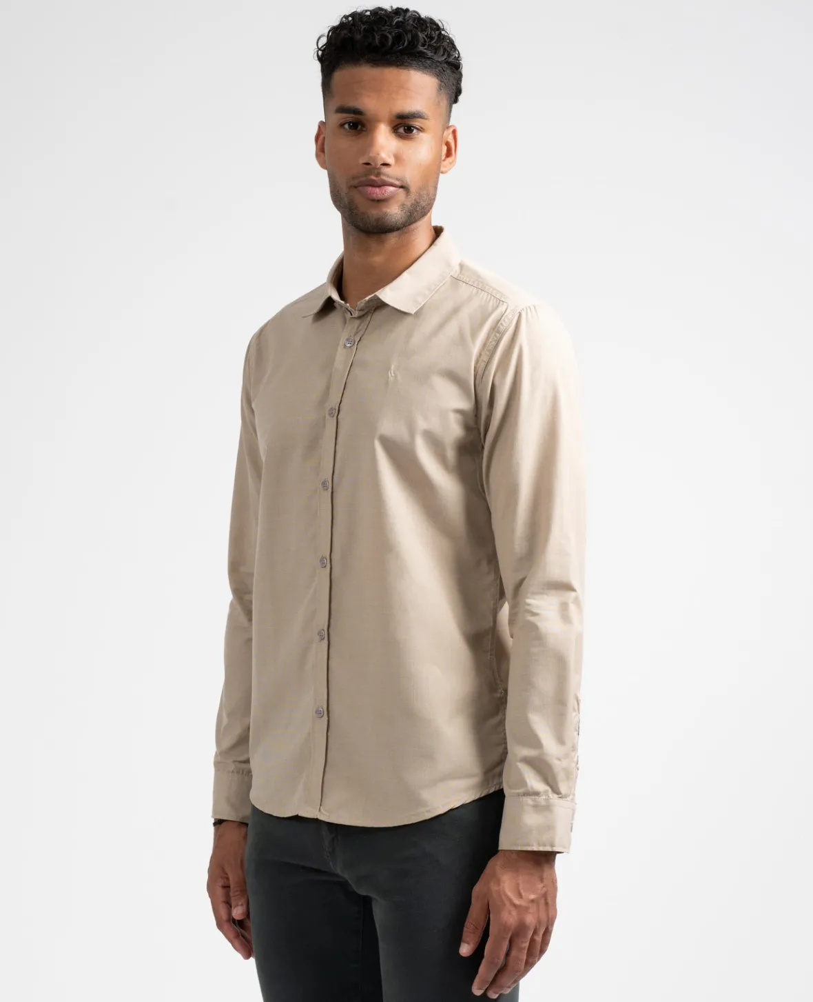 Sun Valley Asasha Sable Doré New