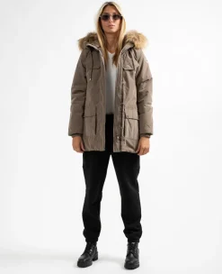 Sun Valley Ystria Chataigne Sale