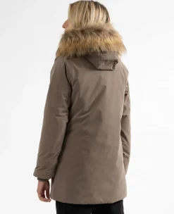 Sun Valley Ystria Chataigne Sale