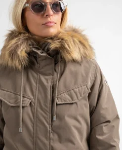 Sun Valley Ystria Chataigne Sale